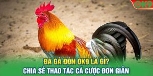 Đá Gà Đòn OK9 Là Gì? Chia Sẻ Thao Tác Cá Cược Đơn Giản