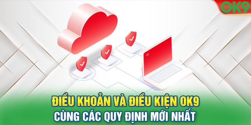 Khái quát về các điều khoản điện kiện