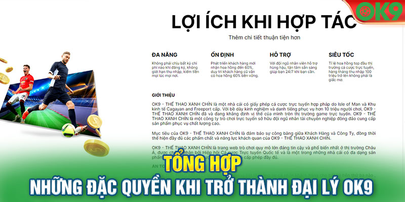 Tổng hợp những đặc quyền khi trở thành đại lý OK9