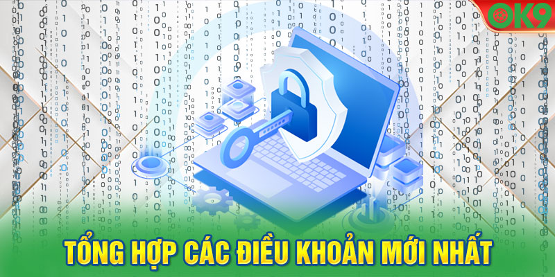 Tổng hợp các điều khoản mới nhất